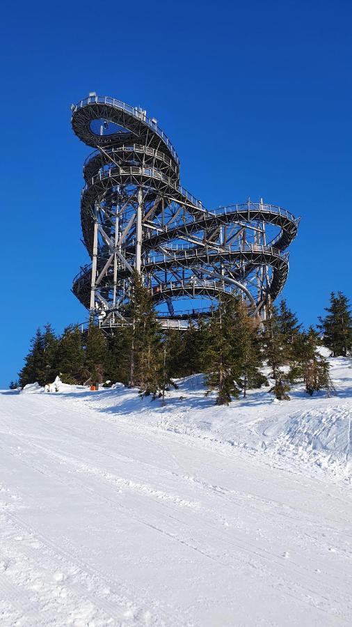 Apartman U Nas Na Dolni Morave Dolní Morava Esterno foto
